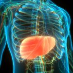 Science Backs It Up: 3 Fruits That Fight Fatty Liver, Regulate Sugar, and Cholesterol liver